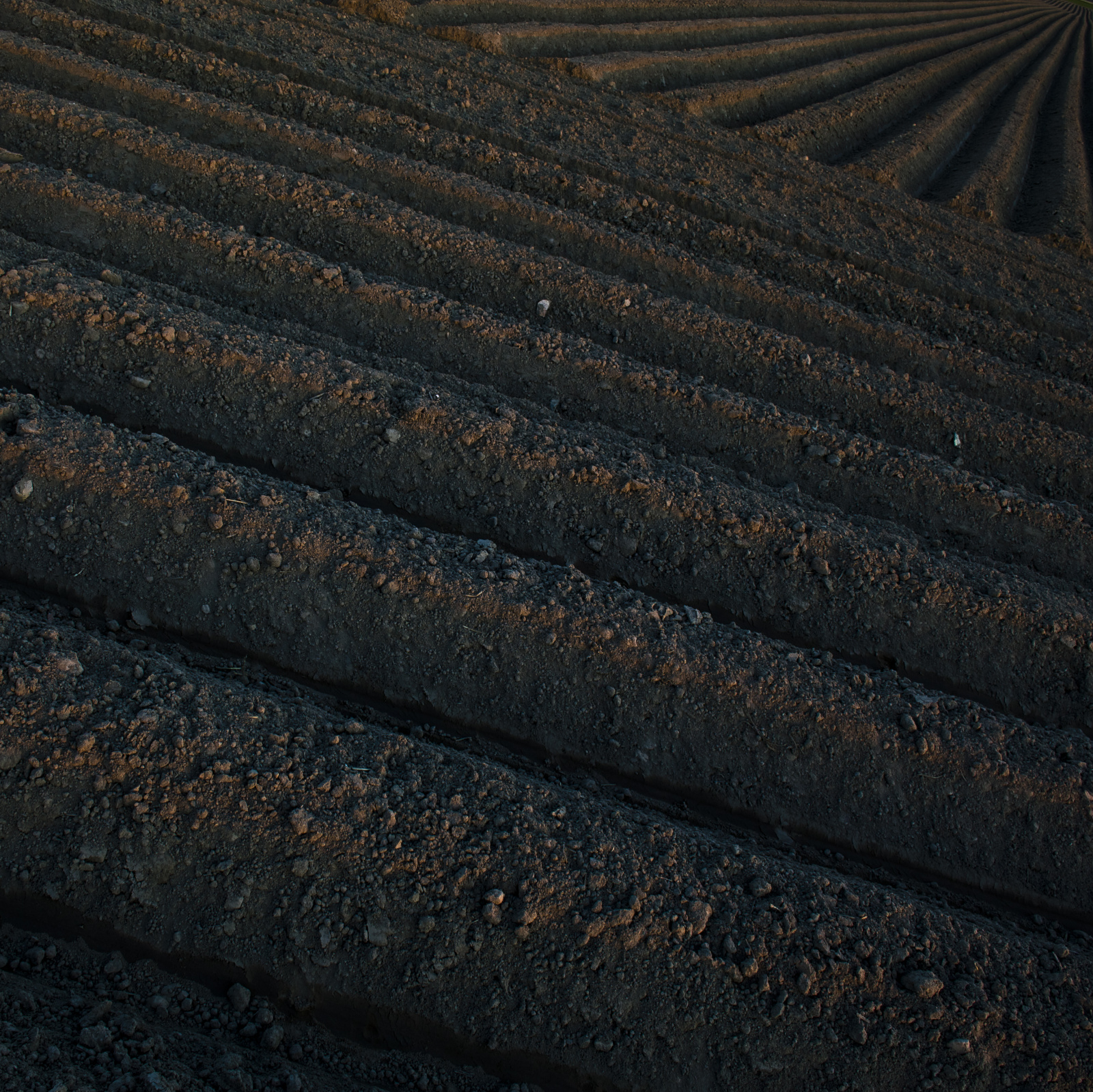 20DU1303 (12 von 73)   Arbeitskopie 2